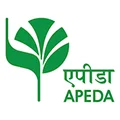 logo-7