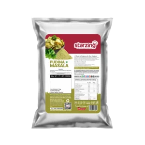 Pudina Masala